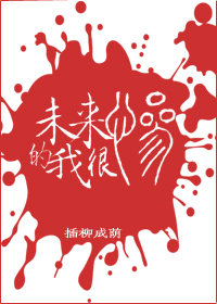 未来的我很惨 小说