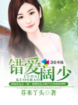 错爱,小说
