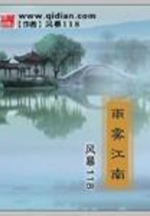 雨雾江南下载