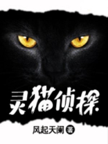 灵猫侦探藤萍小说