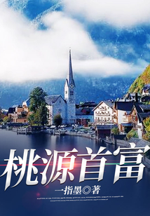 桃源首富从签到开始 小说