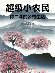 超级小农民：陈二斗的乡村生活