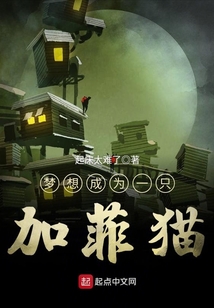 加菲猫多少钱一只幼崽