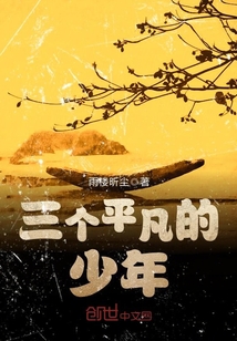 见过平凡的少年