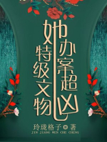 特级文物她办案超凶