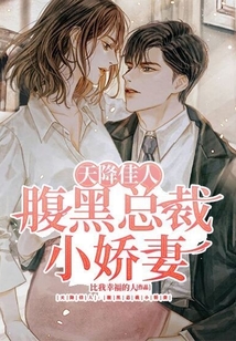 天降佳人:腹黑总裁小娇妻