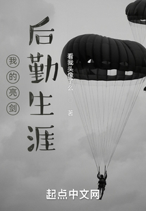 我的亮剑后勤生涯免费阅读