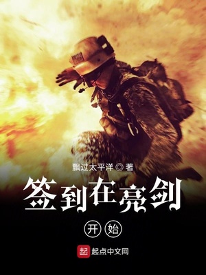 签到在亮剑开始 小说