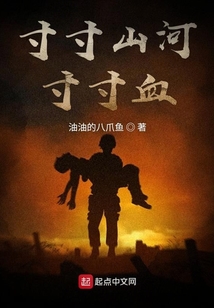寸寸山河寸寸血,笔趣阁