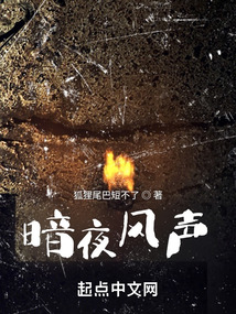 暗夜风声下载