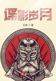 谍影岁月 小说