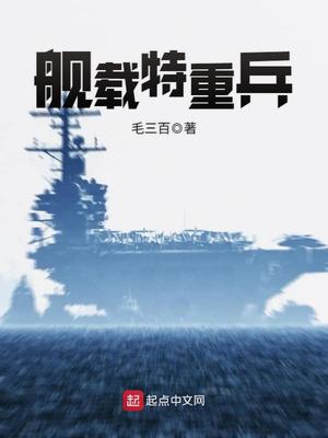 舰载特重兵TXT下载
