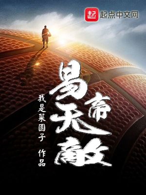 易帝无敌主要内容