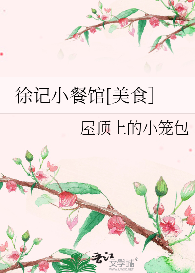 徐记小餐馆美食TXT