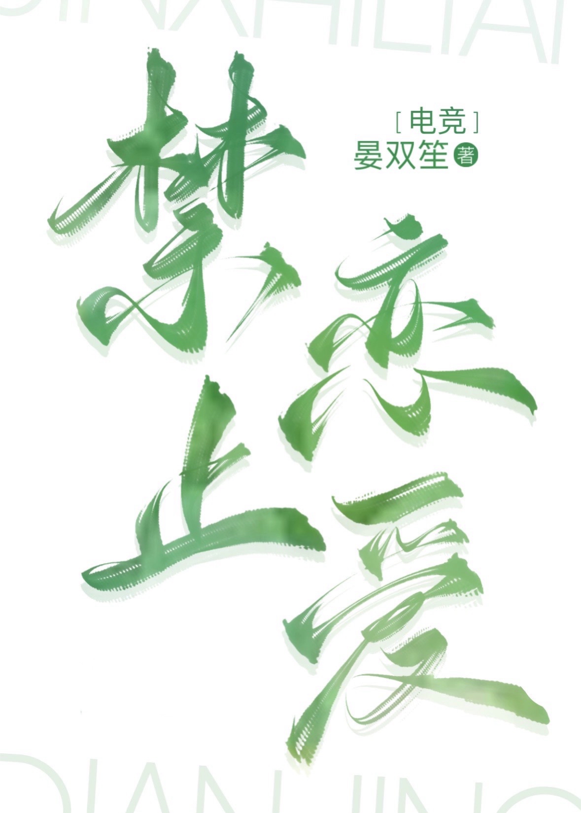 恋爱正在链接电竞 小说