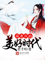 高老庄主