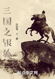 三国之银狐百度百科