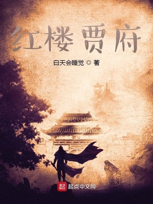 红楼贾府小说免费阅读