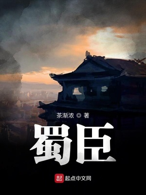 蜀臣TXT下载百度云