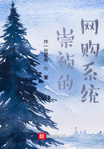 崇祯的网购系统TXT