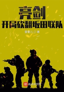 亮剑开局砍翻坂田联队TXT全集免费下载