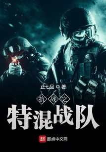 抗战之特混战队TXT下载