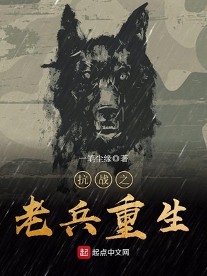 抗战之老兵重生全文阅读