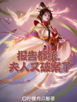 报告都统,夫人又破案了