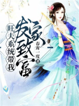 旺夫系统带我发家致富小说