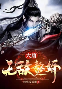 大唐无敌赘婿