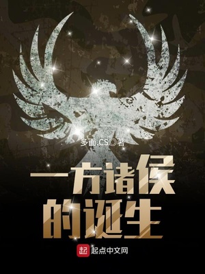 一方诸侯的诞生 多面.CS