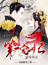 替嫁和亲:王的第一宠妃