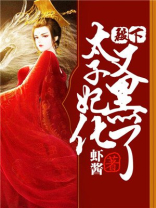 殿下,太子妃又去破案了