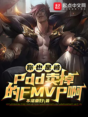 你也是被pdd 小说