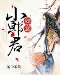 如意小郎君