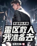 不是带头大哥：我准备去雷区救人