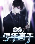天才少年高手秦羽