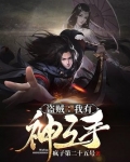 盗贼:我有神之手 小说