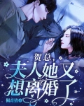 贺总,夫人她又想离婚了