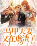 马甲夫妇是什么意思