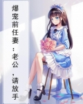 爆宠前任妻：老公，请放手