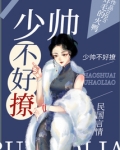 少帅不好撩