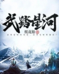 武踏星河百科