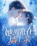 表白表错人的小说