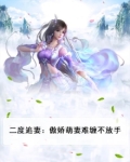 二度追爱