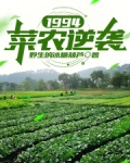 1994：菜农逆袭
