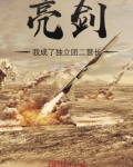 亮剑:我成了独立团二营长