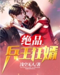 绝品兵王狂婿秦城免费