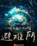 我能升级避难所
