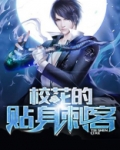 校花的贴身刺客